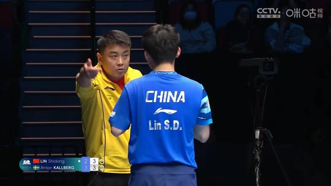 关于法国乒乓球队绝杀日本乒乓球队，王皓绝境逆转的信息